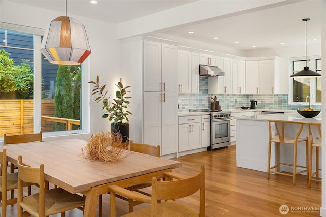 10419 41st Ave SW Unit A, Seattle, WA 98146 - kitchen with high end stainless steel range oven, under cabinet range hood, light countertops, light wood-style floors, and tasteful backsplash