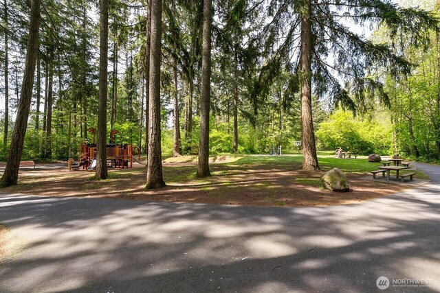 13832 146th Pl SE, Renton, WA 98059 - view of surrounding community