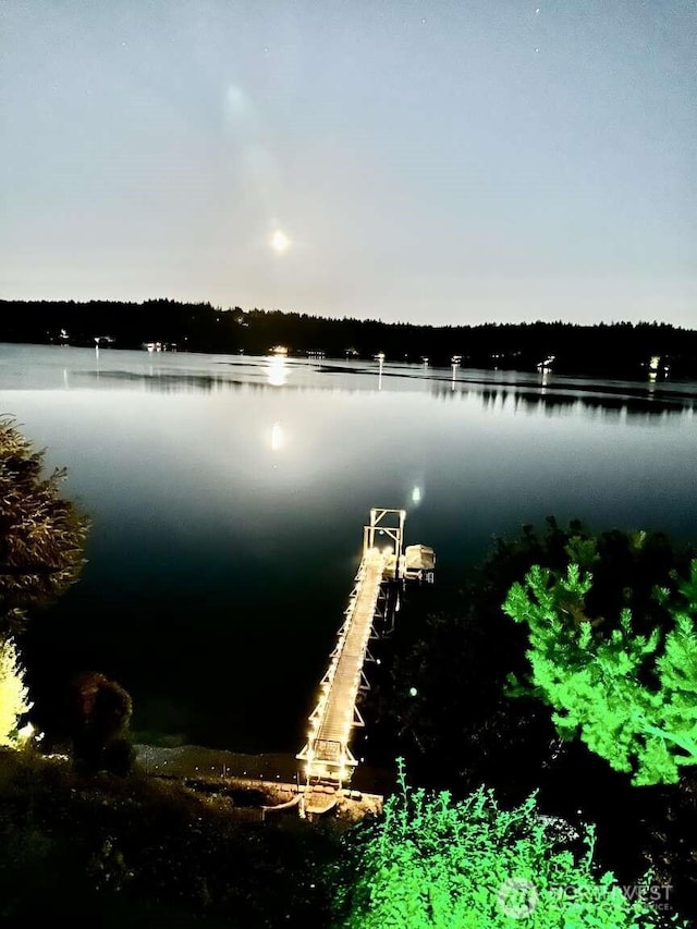 water view featuring a boat dock