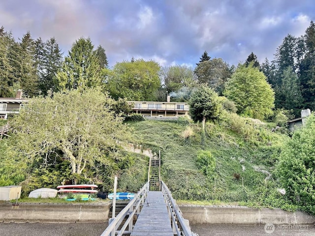 dock with view of scattered trees