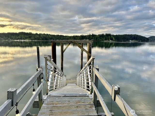 dock featuring a water view and a view of trees