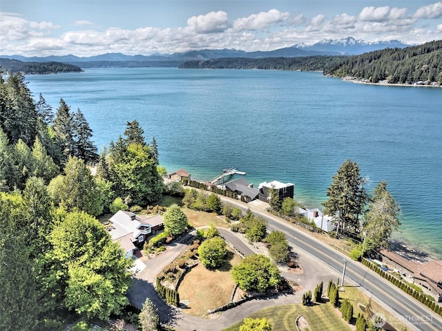 8820 E State Route 106, Union, WA 98592 - drone / aerial view of a water and mountain view
