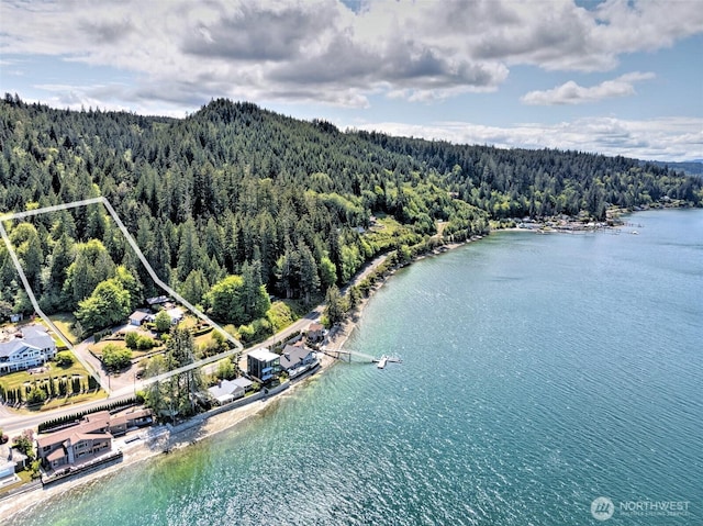 8820 E State Route 106, Union, WA 98592 - aerial view of property's location featuring a forest, property boundaries highlighted, and a large body of water