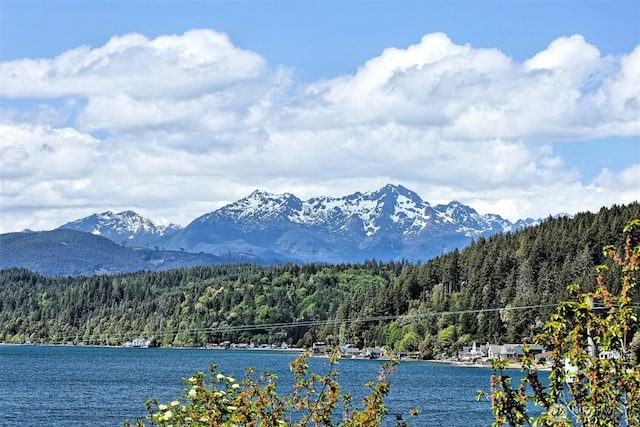 8820 E State Route 106, Union, WA 98592 - water view with a forest and a mountainous background