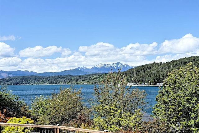 8820 E State Route 106, Union, WA 98592 - water view featuring a heavily wooded area and mountains