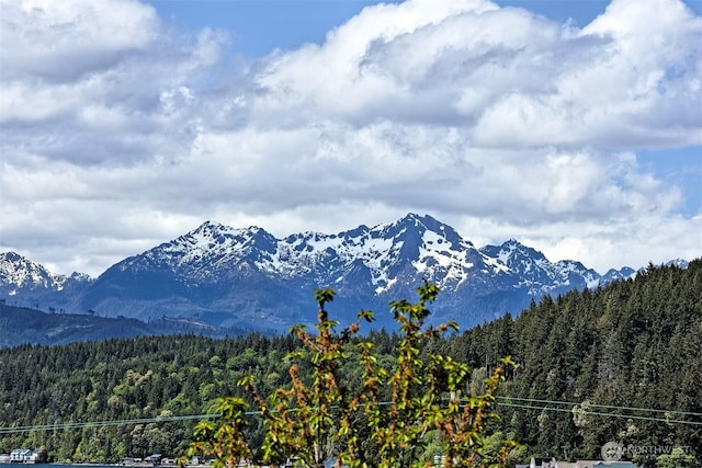 8820 E State Route 106, Union, WA 98592 - view of mountain background featuring a forest