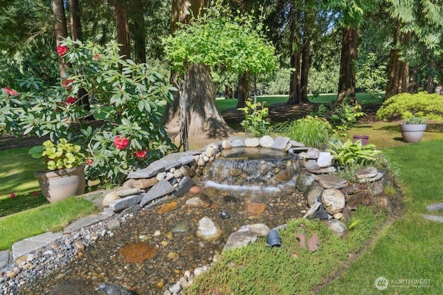 21010 NE 33rd Pl, Sammamish, WA 98074 - view of yard