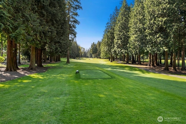 21010 NE 33rd Pl, Sammamish, WA 98074 - view of community featuring a yard and view of wooded area