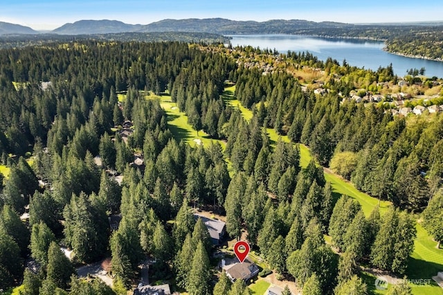 21010 NE 33rd Pl, Sammamish, WA 98074 - aerial overview of property's location with a heavily wooded area and a water and mountain view