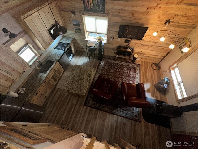 22415 Stirrup Rd, Leavenworth, WA 98826 - kitchen with wood finished floors, a sink, and wooden walls