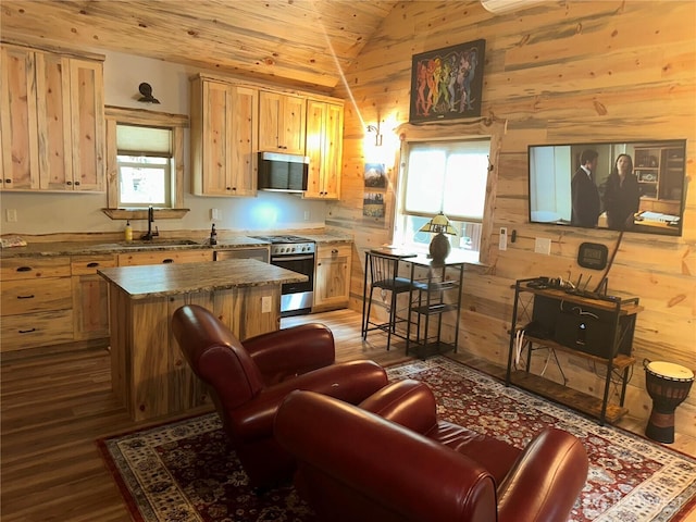 22415 Stirrup Rd, Leavenworth, WA 98826 - kitchen with stainless steel appliances, a sink, vaulted ceiling, dark wood-type flooring, and light brown cabinetry