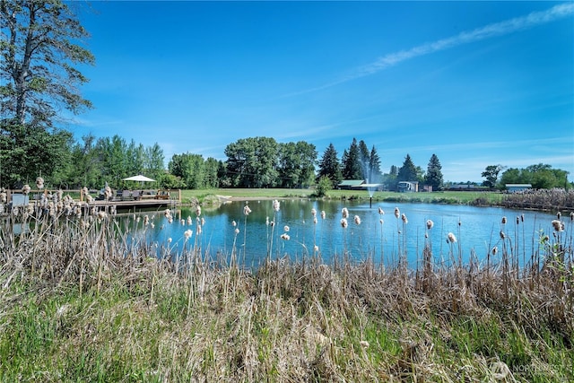 471 Klocke Rd, Ellensburg, WA 98926 - photo 30