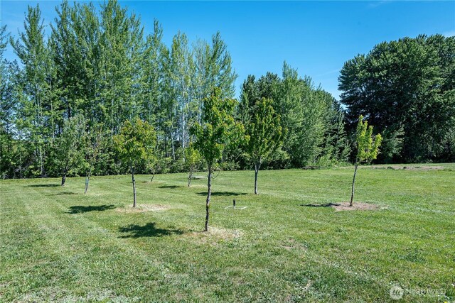 471 Klocke Rd, Ellensburg, WA 98926 - photo 35