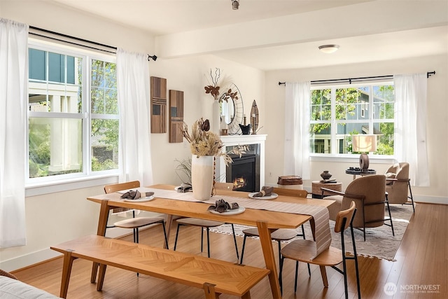 1748 25th Walk NE, Issaquah, WA 98029 - dining room with a warm lit fireplace, light wood-type flooring, and baseboards