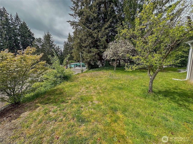 3333 228th St SE Unit 119, Bothell, WA 98021 - view of grassy yard featuring a forest view