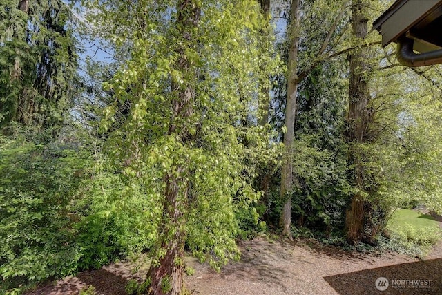 10826 NE 148th Ln Unit H201, Bothell, WA 98011 - view of undeveloped land