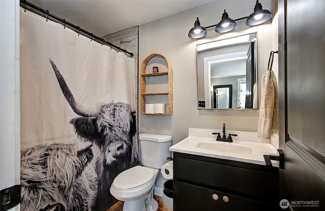 bathroom featuring vanity, toilet, and curtained shower
