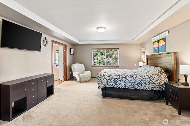 bedroom featuring light colored carpet, a raised ceiling, and ensuite bathroom