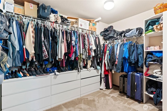 walk in closet with carpet floors