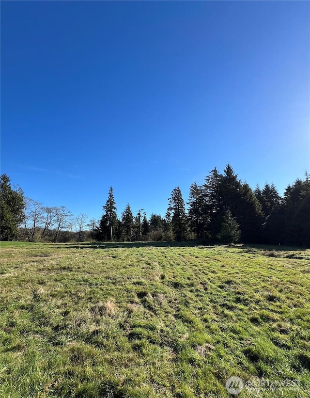 76 Ranta, Bay Center, WA 98586
