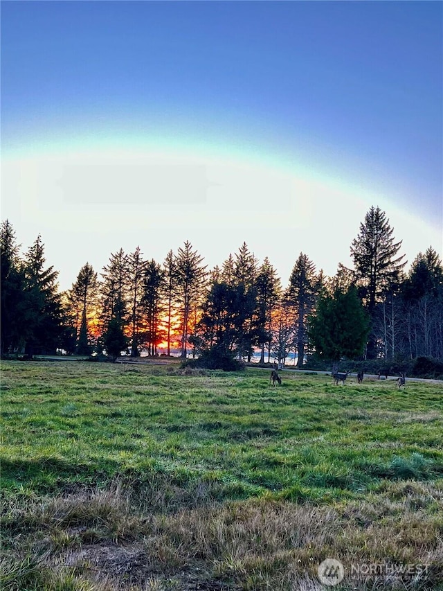 76 Ranta, Bay Center, WA 98586