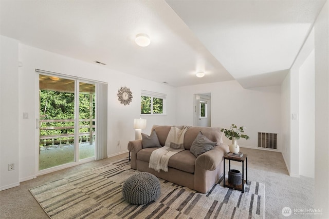 19306 Evergreen Dr E, Bonney Lake, WA 98391 - photo 21
