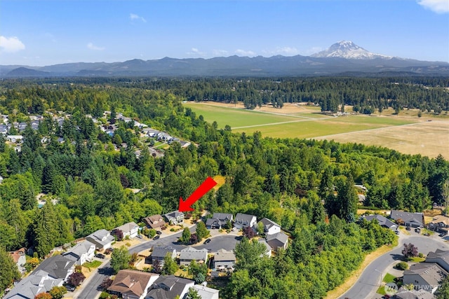 19306 Evergreen Dr E, Bonney Lake, WA 98391 - photo 37