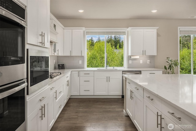 kitchen with appliances with stainless steel finishes, dark wood-type flooring, white cabinetry, recessed lighting, and tasteful backsplash