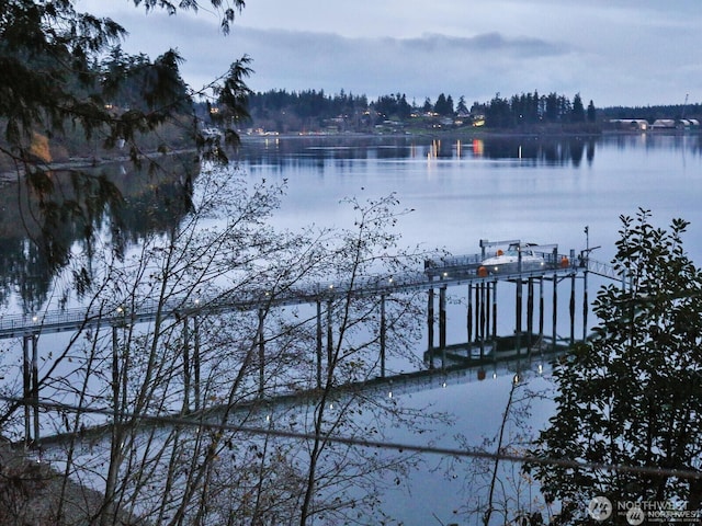 1865 Crestwood Cove Ct, Freeland, WA 98249 - photo 9