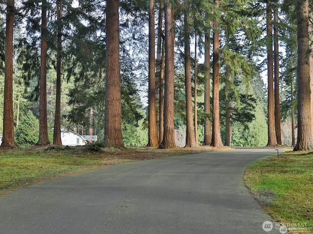 1865 Crestwood Cove Ct, Freeland, WA 98249 - photo 16
