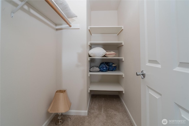 3115 69th Ln SW, Tumwater, WA 98512 - photo 22