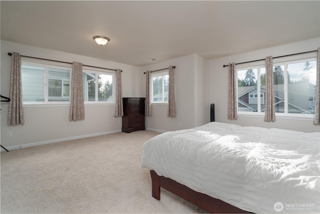3115 69th Ln SW, Tumwater, WA 98512 - photo 24
