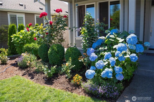 3115 69th Ln SW, Tumwater, WA 98512 - photo 2