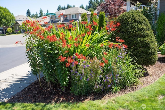 3115 69th Ln SW, Tumwater, WA 98512 - photo 4