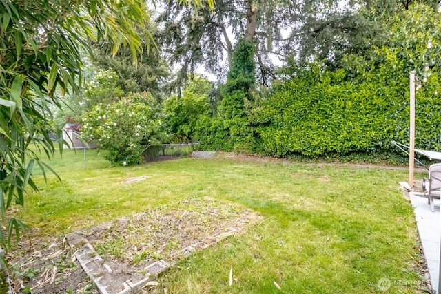 213 S 70th St, Tacoma, WA 98408 - view of yard