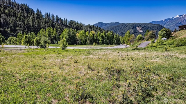 10660 Fox Rd, Leavenworth, WA 98826