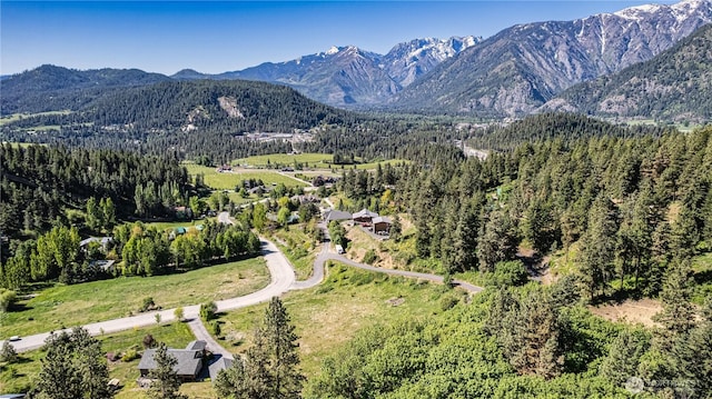 10660 Fox Rd, Leavenworth, WA 98826