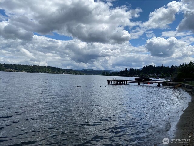 16915 SE 39th St, Bellevue, WA 98008 - water view