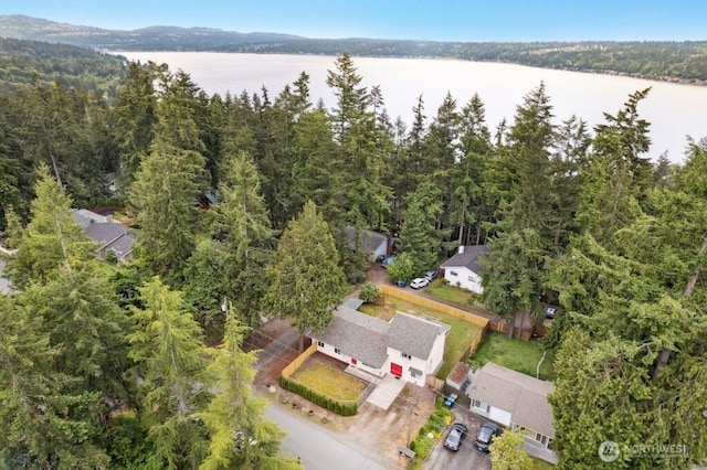 1115 207th Pl NE, Sammamish, WA 98074 - drone / aerial view of a nearby body of water and a heavily wooded area