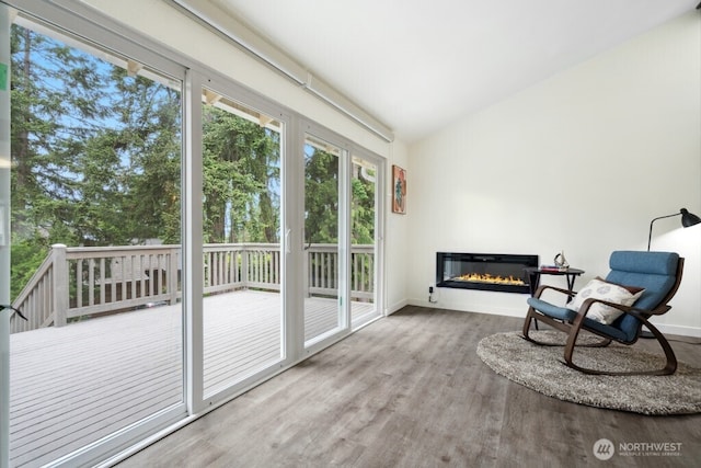 1115 207th Pl NE, Sammamish, WA 98074 - living area with wood finished floors, vaulted ceiling, a glass covered fireplace, and baseboards