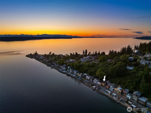 3316 SW 172nd St, Burien, WA 98166 - water view