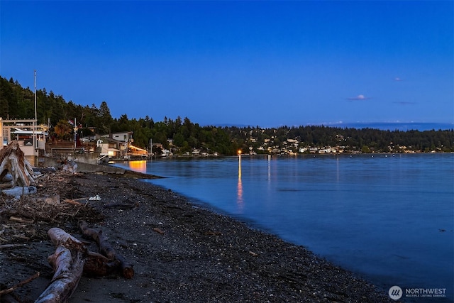 3316 SW 172nd St, Burien, WA 98166 - water view featuring a forest