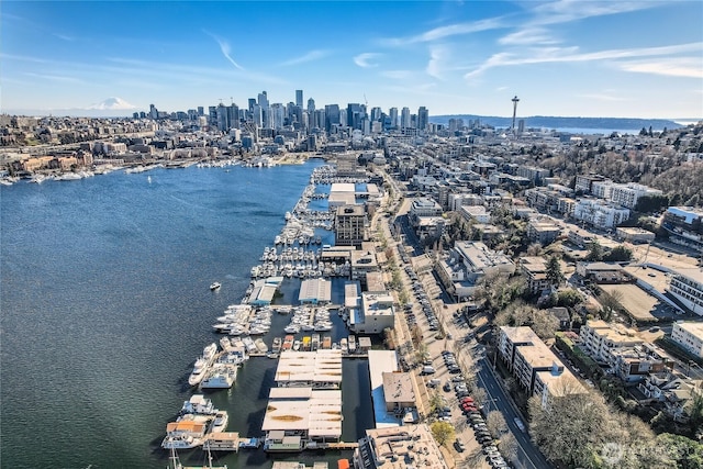 2040 Westlake Ave N Unit 17, Seattle, WA 98109 - bird's eye view of a skyline view and a nearby body of water