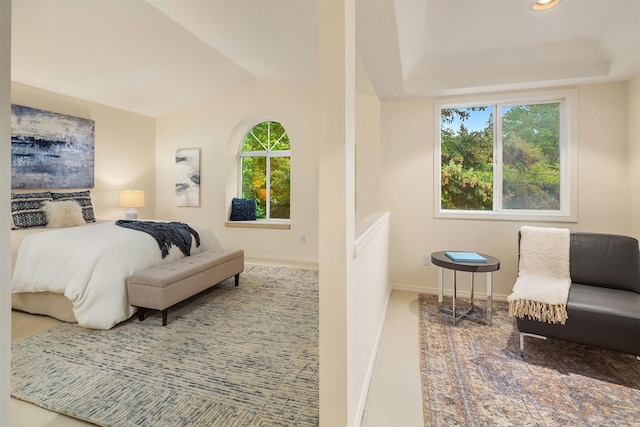 bedroom featuring multiple windows, carpet flooring, baseboards, a tray ceiling, and recessed lighting