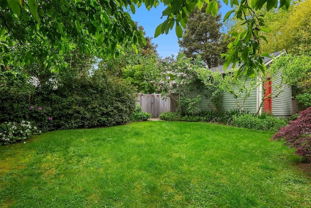 view of yard