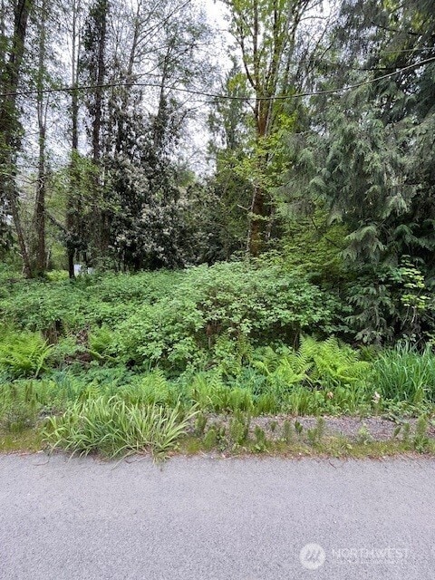 145XX Park Dr SE, Port Orchard, WA 98367 - photo 2