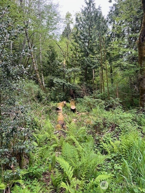 145XX Park Dr SE, Port Orchard, WA 98367 - photo 4