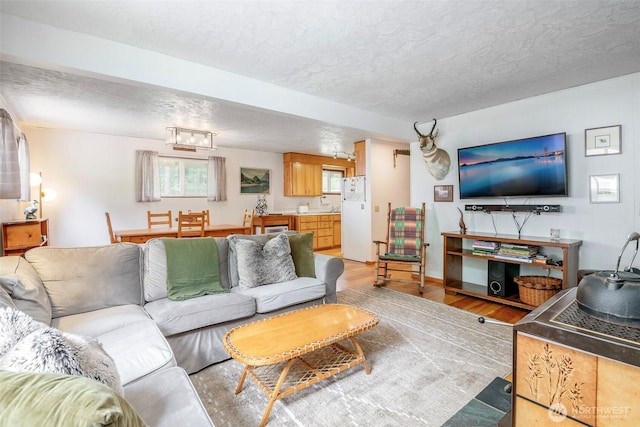 100 Aspen Ln, Packwood, WA 98361 - living area featuring a textured ceiling and light wood-type flooring