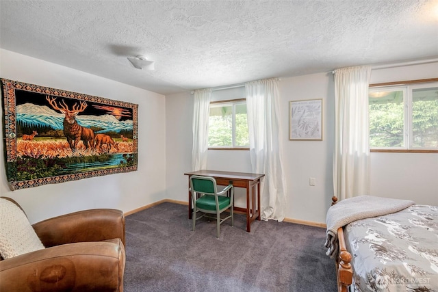 100 Aspen Ln, Packwood, WA 98361 - bedroom featuring carpet floors, a textured ceiling, and baseboards