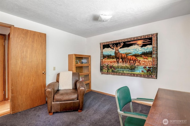 100 Aspen Ln, Packwood, WA 98361 - office space with carpet floors, a textured ceiling, and baseboards